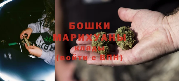 PSILOCYBIN Зеленодольск