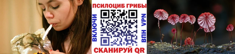 Купить где  Соль-Илецк  Галлюциногенные грибы MAGIC MUSHROOMS 